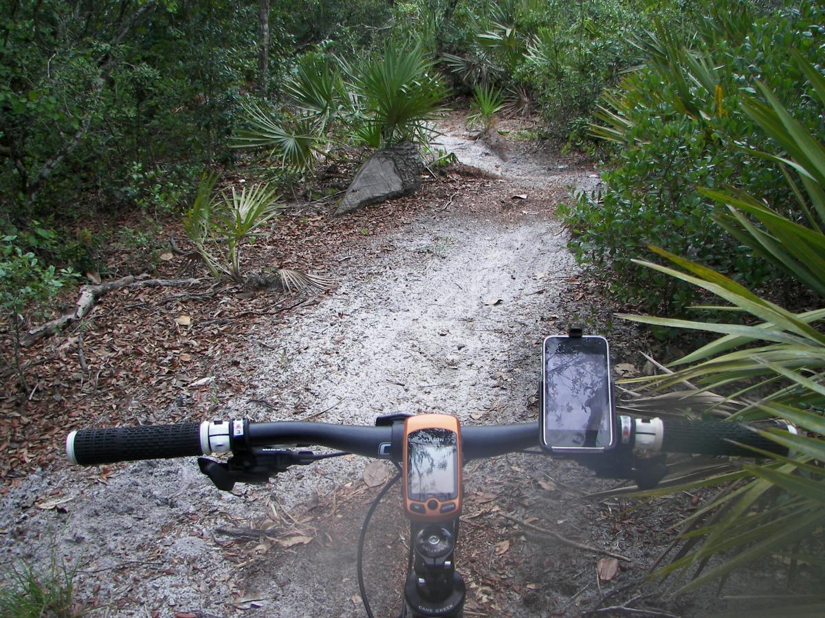A close-up view of a mountain bike's handlebars on a sandy trail surrounded by dense greenery. The bike is equipped with a GPS device and a smartphone holder. The path is narrow, winding through a natural landscape with palm-like plants and scattered leaves. Spruce Creek Preserve mountain bike trail.