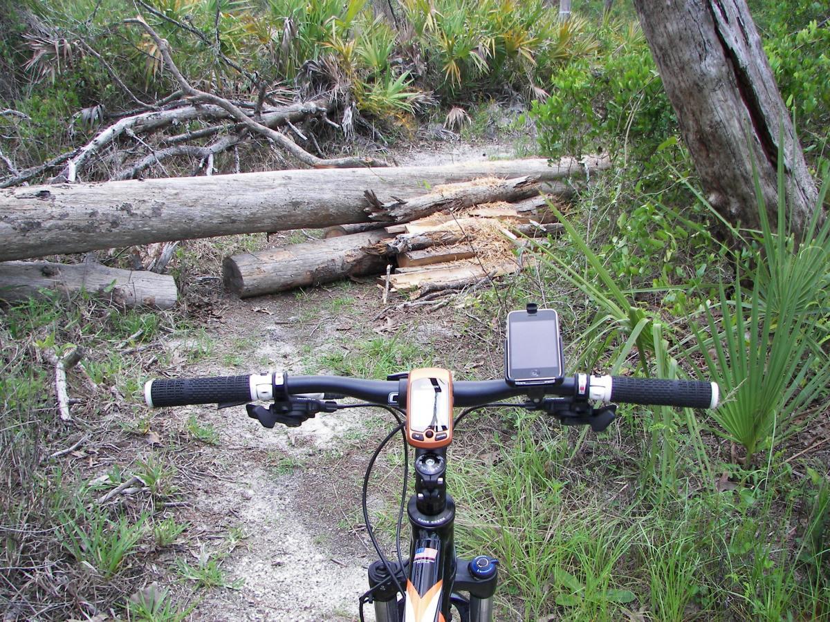 A mountain bike is positioned on a dirt path in a forested area, with fallen logs blocking the trail ahead. The handlebars of the bike are visible, featuring grips and a mounted GPS device. Surrounding vegetation includes tall grass and shrubs. Turkey Creek mountain bike trail.