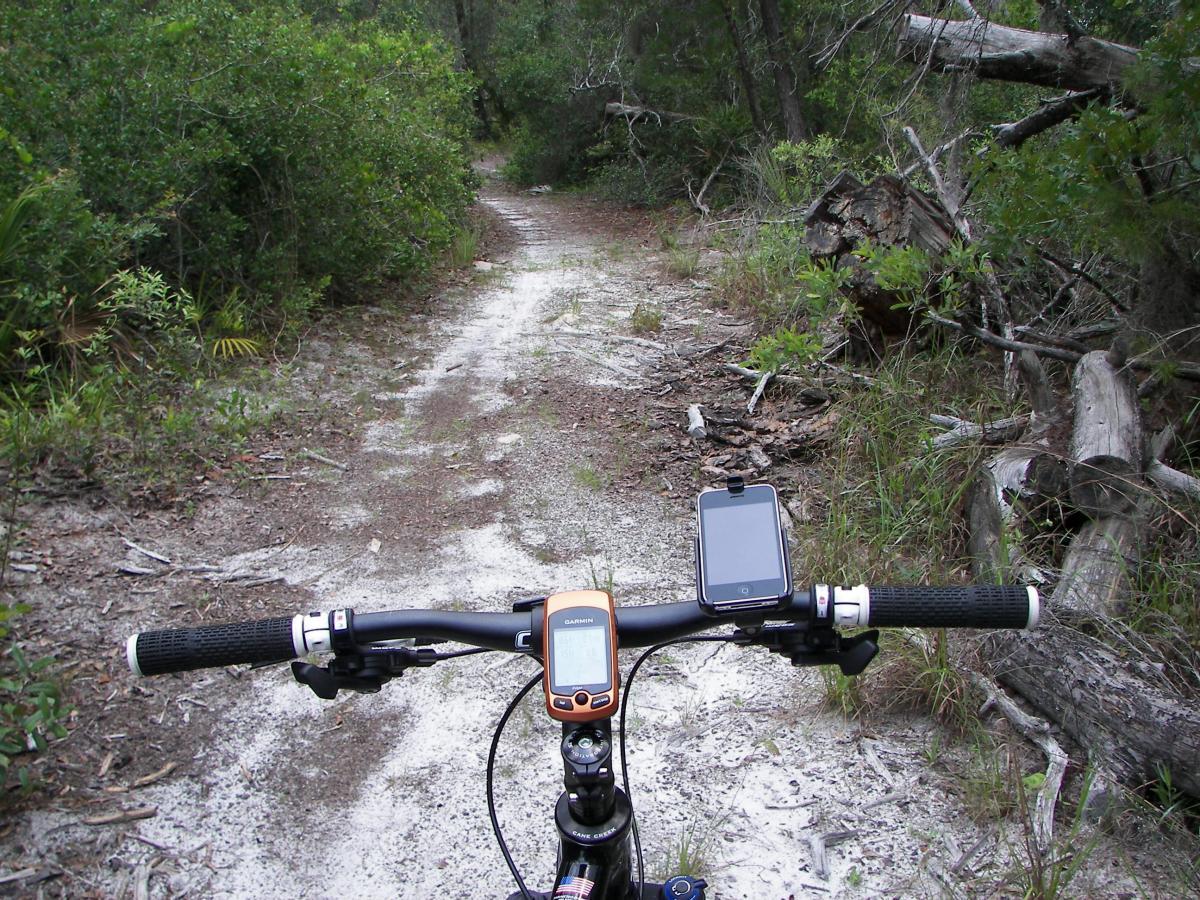 Close-up view of a mountain bike handlebar on a dirt trail surrounded by greenery. A GPS device and a smartphone are mounted on the bike, providing navigation on the path ahead, which is flanked by trees and vegetation. The trail is sandy with scattered twigs and branches. Turkey Creek mountain bike trail.