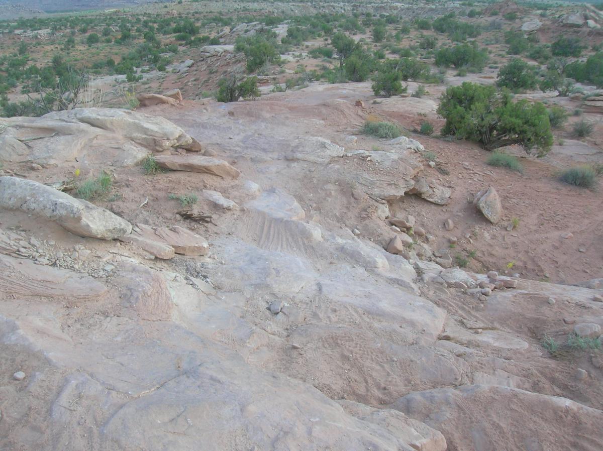 A rocky terrain with layered stone formations and patches of dry earth, scattered with small shrubs and vegetation. The landscape features a gentle slope leading into a more expansive area of similar rocky outcrops and low-growing plants. The scene captures the natural ruggedness of the environment. Sovereign Single Track mountain bike trail.