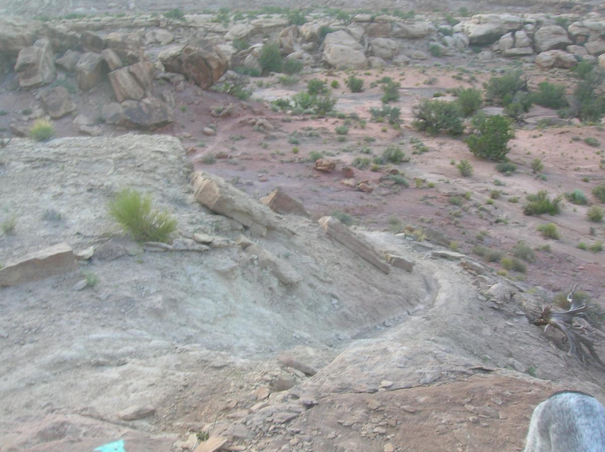 A rocky terrain with various sized boulders scattered across a reddish-brown landscape, featuring sparse vegetation such as low shrubs and bushes against a backdrop of rugged cliffs and hills under a clear sky. Sovereign Single Track mountain bike trail.