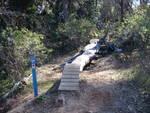 A wooden bridge leading over a small section of a trail surrounded by dense greenery and trees. A blue post marker is visible, indicating the path. Tom Brown / Lafayette Heritage Park mountain bike trail.