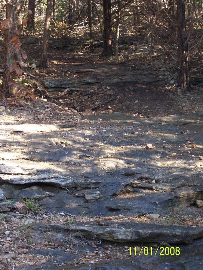 A rocky path winding through a wooded area, surrounded by trees and sparse foliage. Sunlight filters through the branches, illuminating the stone and earth textures along the trail. Sac River Trail mountain bike trail.