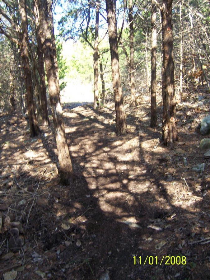 A dirt path winding through a dense forest with tall trees on either side, casting intricate shadows on the ground. Sunlight filters through the canopy, illuminating the path ahead. The scene captures a serene and secluded natural setting. Sac River Trail mountain bike trail.