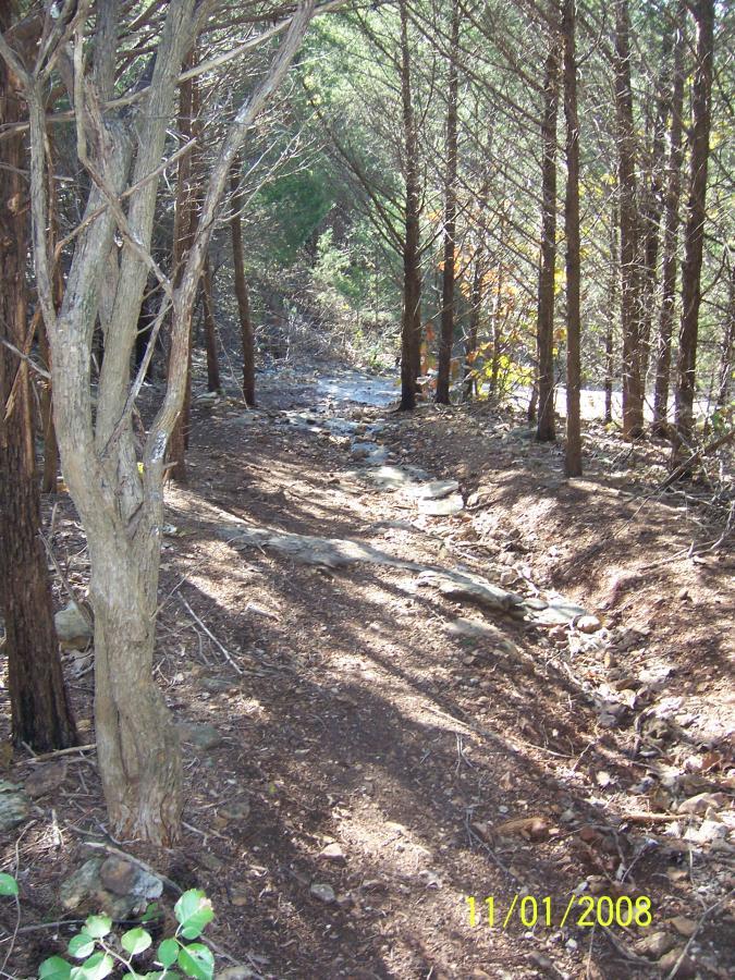 A narrow dirt path winding through a forest, flanked by trees with thin trunks and sparse foliage. The path is partially lined with stones, and sunlight filters through the branches, casting shadows on the ground. Sac River Trail mountain bike trail.