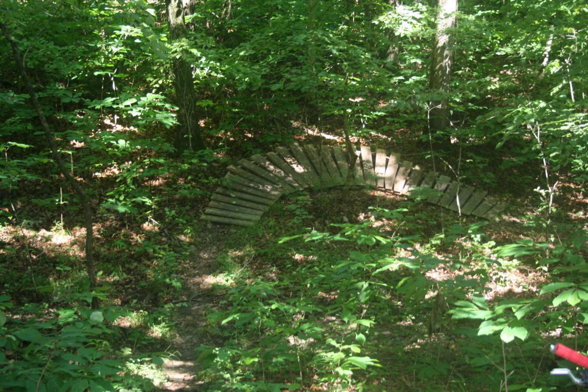 A winding wooden path nestled among lush green foliage in a forest, with sunlight filtering through the trees. Bittersweet mountain bike trail.