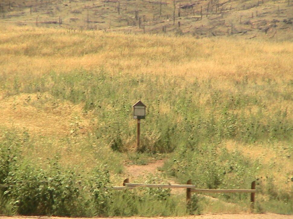 A small wooden information signpost in a grassy field, surrounded by tall dry grass and sparse vegetation, with a background of a hillside and burnt trees. Bobcat Ridge mountain bike trail.
