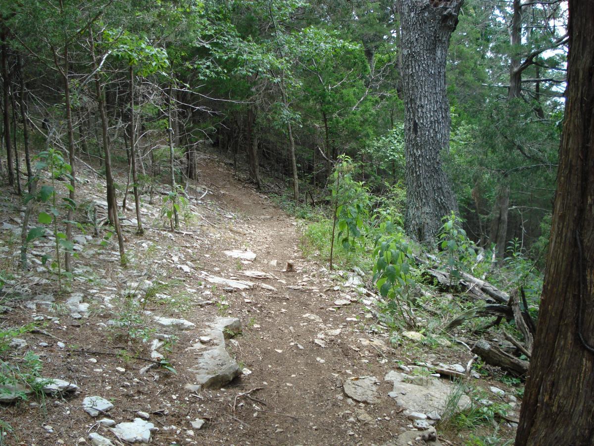 A winding dirt trail surrounded by trees and vegetation, with rocky patches along the path. The scene is set in a forested area, featuring a mix of green leaves and bare branches, creating a natural and serene atmosphere. Jones Mill mountain bike trail.