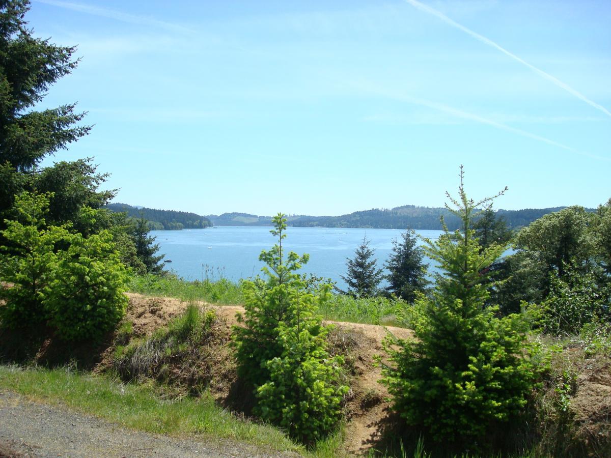 A scenic view of a calm lake surrounded by lush greenery and trees, under a clear blue sky. The shoreline is lined with vibrant bushes and trees, with gentle hills visible in the background. Hagg Lake mountain bike trail.