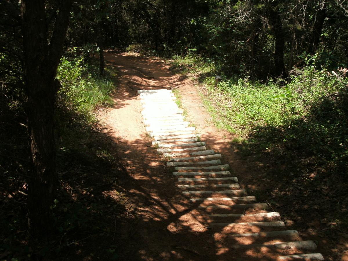 A dirt trail winding through a wooded area, featuring a series of white logs laid out as stepping stones. The path is bordered by green vegetation and small trees, with sunlight filtering through the leaves, creating a serene atmosphere. Lake Stanley Draper mountain bike trail.