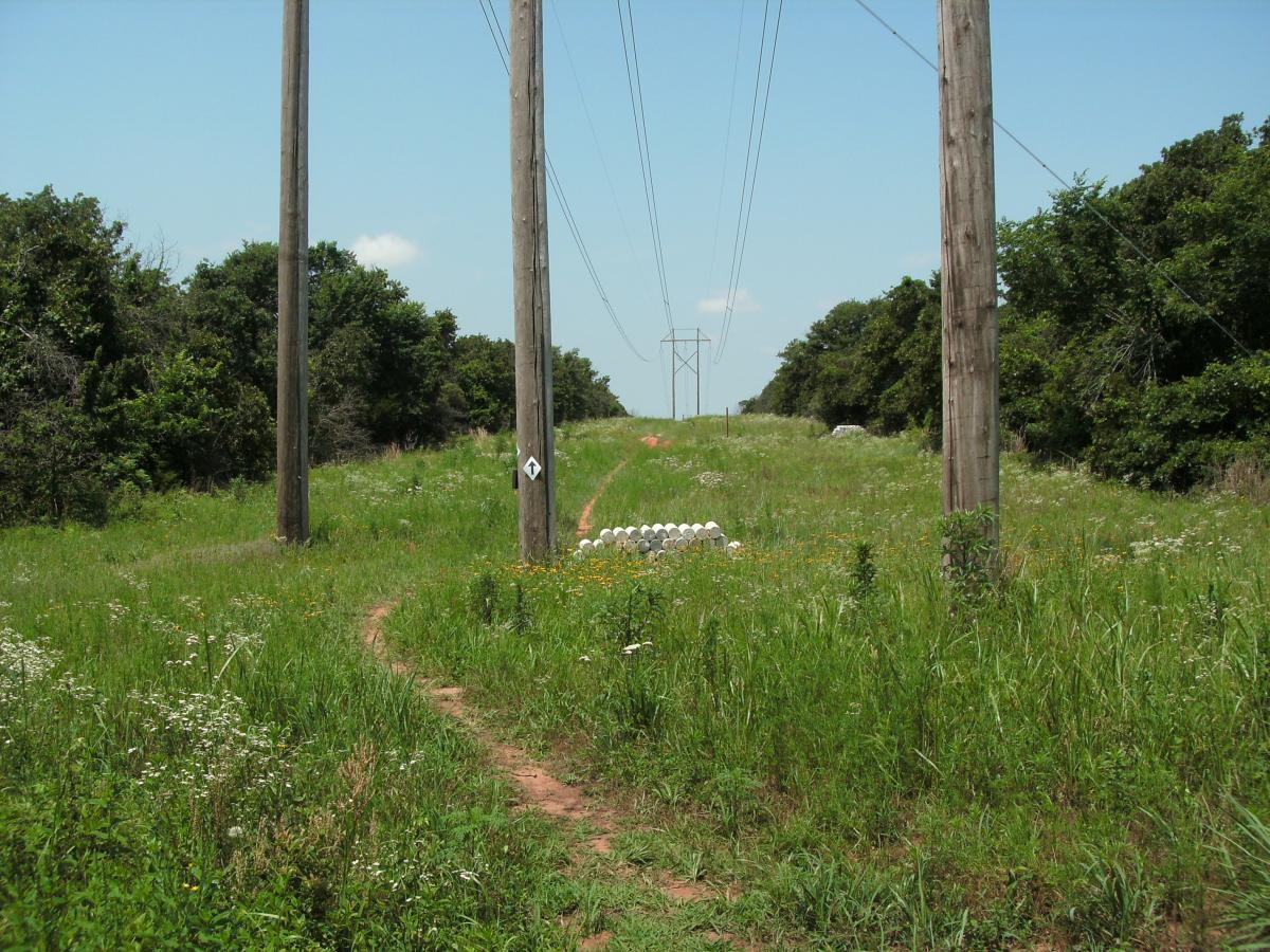 A dirt path winds through a grassy landscape flanked by tall power lines and utility poles. The area is lush with green vegetation and scattered wildflowers, under a clear blue sky. A directional marker is visible along the path, guiding the way through the natural setting. Lake Stanley Draper mountain bike trail.