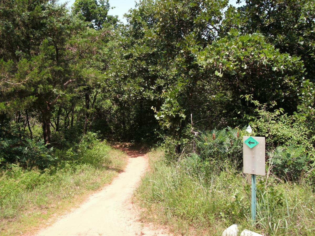 A dirt path winding through a lush green forest, with trees and shrubs lining either side. A signpost with a green arrow indicates a turn in the trail. The scene is sunlit and depicts a peaceful natural environment. Lake Stanley Draper mountain bike trail.
