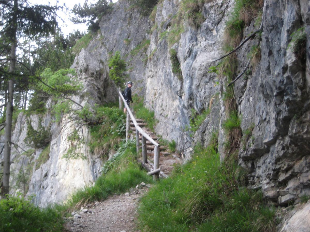 A steep, rocky pathway winding through lush greenery, with a wooden railing providing support. A hiker in dark clothing stands on the path, surrounded by tall trees and dramatic rock formations. The scene depicts a serene yet challenging hiking route in a mountainous landscape. Kramer Plateauweg mountain bike trail.