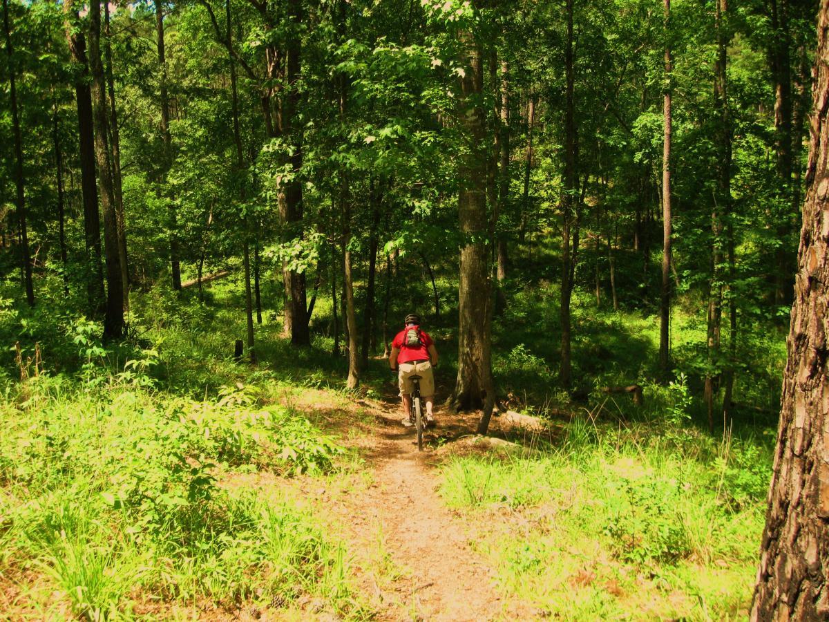 A person wearing a red backpack walks along a dirt trail surrounded by lush green trees and vegetation in a forest setting. The path leads downhill, with sunlight filtering through the leaves, creating a serene atmosphere. Clear Springs Rec. Area mountain bike trail.
