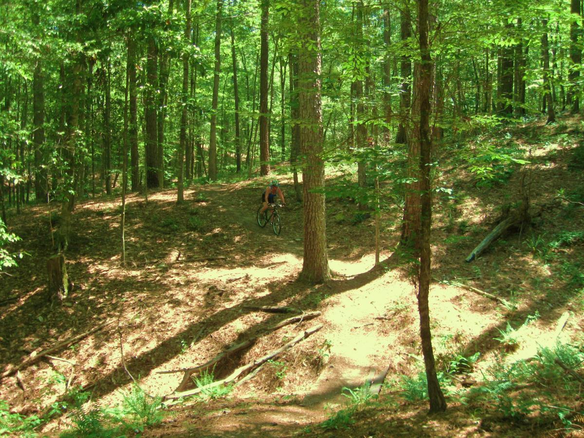A mountain biker navigating a trail in a lush green forest, surrounded by tall trees and dappled sunlight filtering through the leaves, with a sandy, leaf-covered path winding through the underbrush. Clear Springs Rec. Area mountain bike trail.