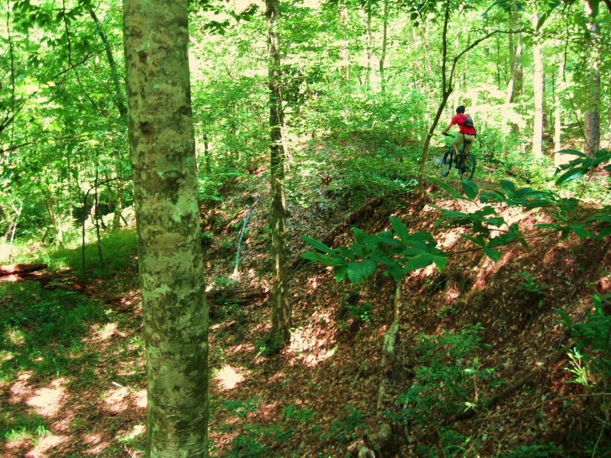 A mountain biker in a red shirt rides along a trail surrounded by lush green trees and foliage in a forested area. Sunlight filters through the leaves, creating a vibrant, natural setting. Clear Springs Rec. Area mountain bike trail.