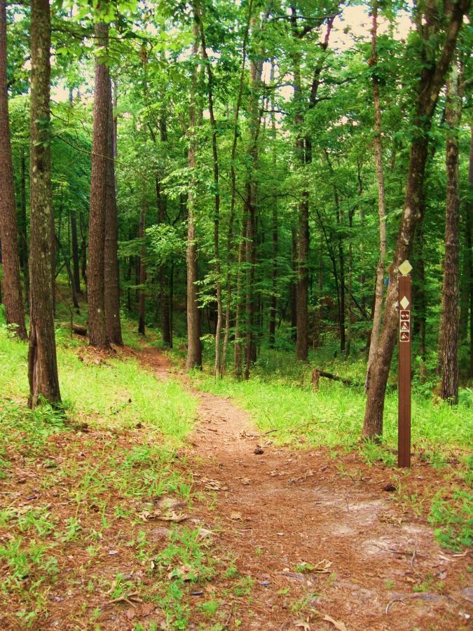 A winding trail through a lush green forest, lined with tall trees and underbrush. A trail marker stands on the right, indicating directions for hikers. Sunlight filters through the leaves, creating a serene and inviting atmosphere. Clear Springs Rec. Area mountain bike trail.