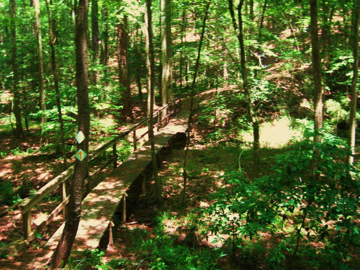 A wooded area featuring a winding wooden bridge surrounded by lush green trees and foliage. Trail markers are visible on a nearby tree, indicating directions for hikers. The serene forest environment is dappled with sunlight filtering through the leaves. Clear Springs Rec. Area mountain bike trail.