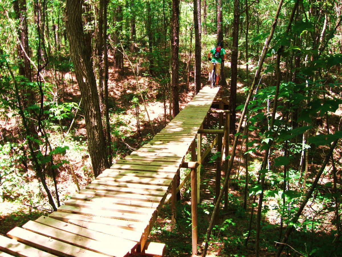 A wooden bike bridge elevated above the forest floor, surrounded by lush green trees and foliage. A cyclist is approaching from the far end of the bridge, showcasing an adventurous trail in a natural outdoor setting. Sunlight filters through the leaves, creating a dappled light effect on the bridge. Mt. Zion Bike Trails mountain bike trail.