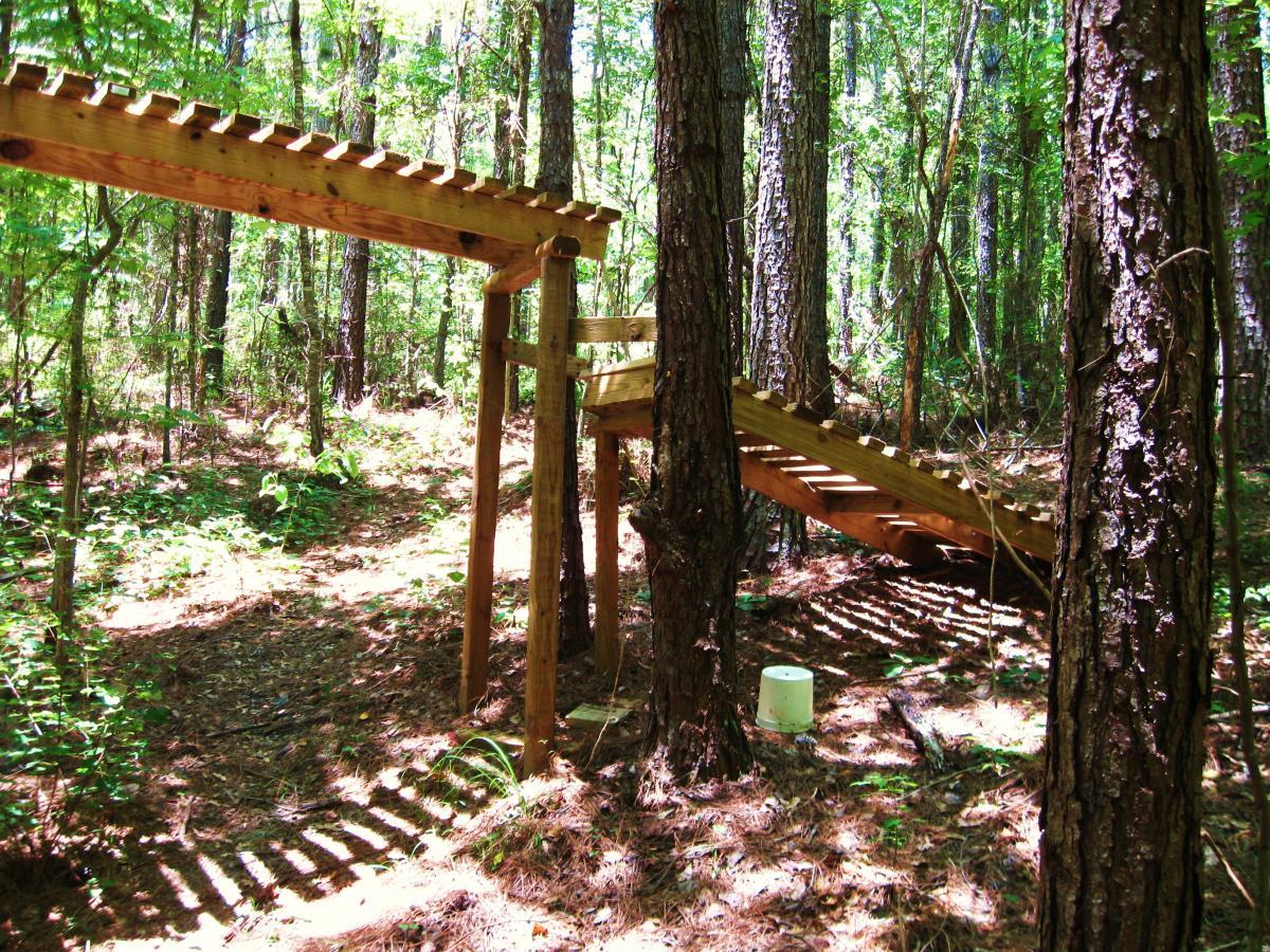 Wooden bridge or walkway in a dense forest, surrounded by tall trees and vibrant green foliage, with sunlight filtering through the leaves and casting shadows on the ground. Mt. Zion Bike Trails mountain bike trail.