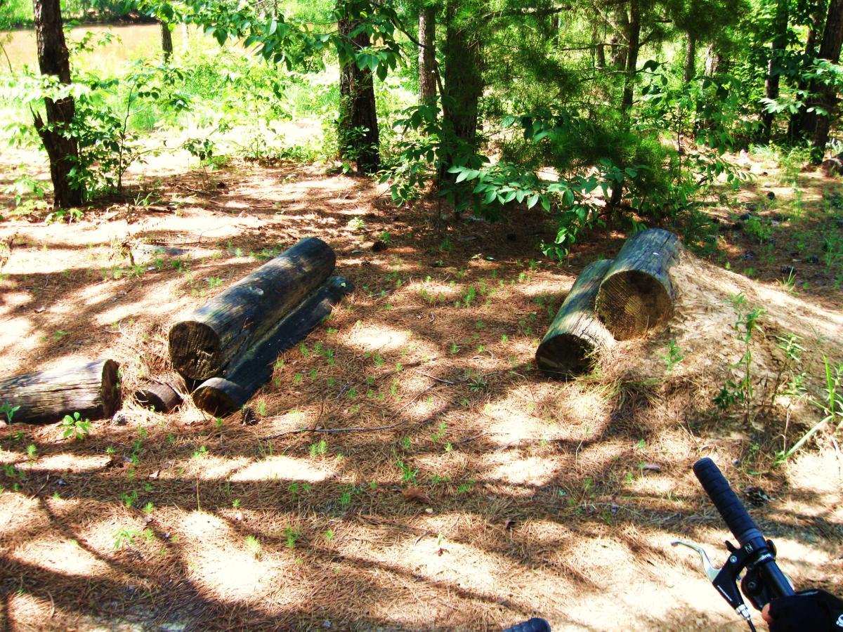 A serene forest scene featuring several logs lying on the forest floor, surrounded by green foliage and pine needles. Sunlight filters through the trees, creating dappled shadows on the ground. A portion of a bicycle handle can be seen in the foreground, suggesting an outdoor exploration setting. Mt. Zion Bike Trails mountain bike trail.