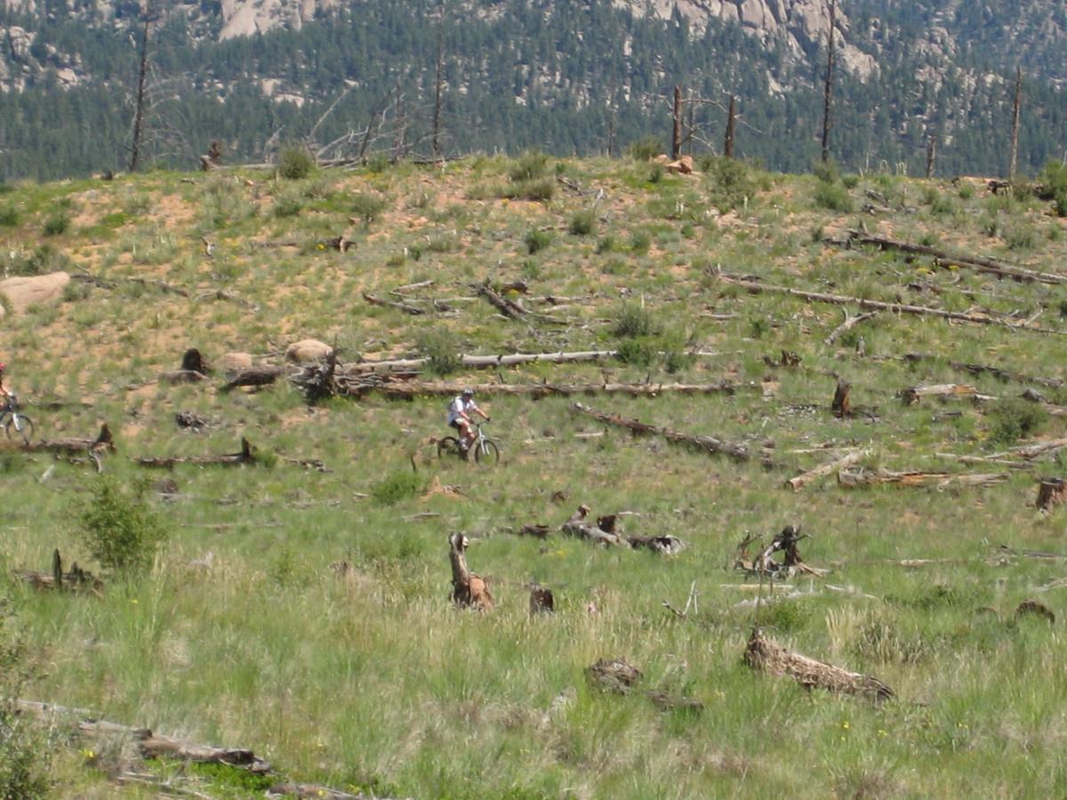 Two mountain bikers ride through a grassy area scattered with fallen logs, surrounded by a backdrop of hills and trees. The landscape features patches of green grass and areas of bare earth, indicating a natural environment. Buffalo Creek mountain bike trail.