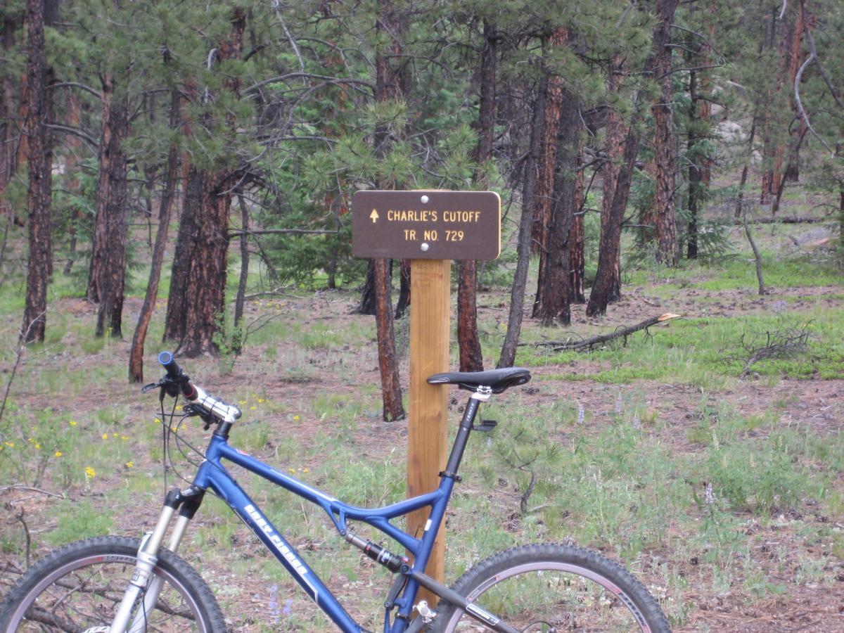 A mountain bike parked next to a trail sign marked "Charlie's Cutoff TR No 729," surrounded by a pine forest and green grass. Buffalo Creek mountain bike trail.