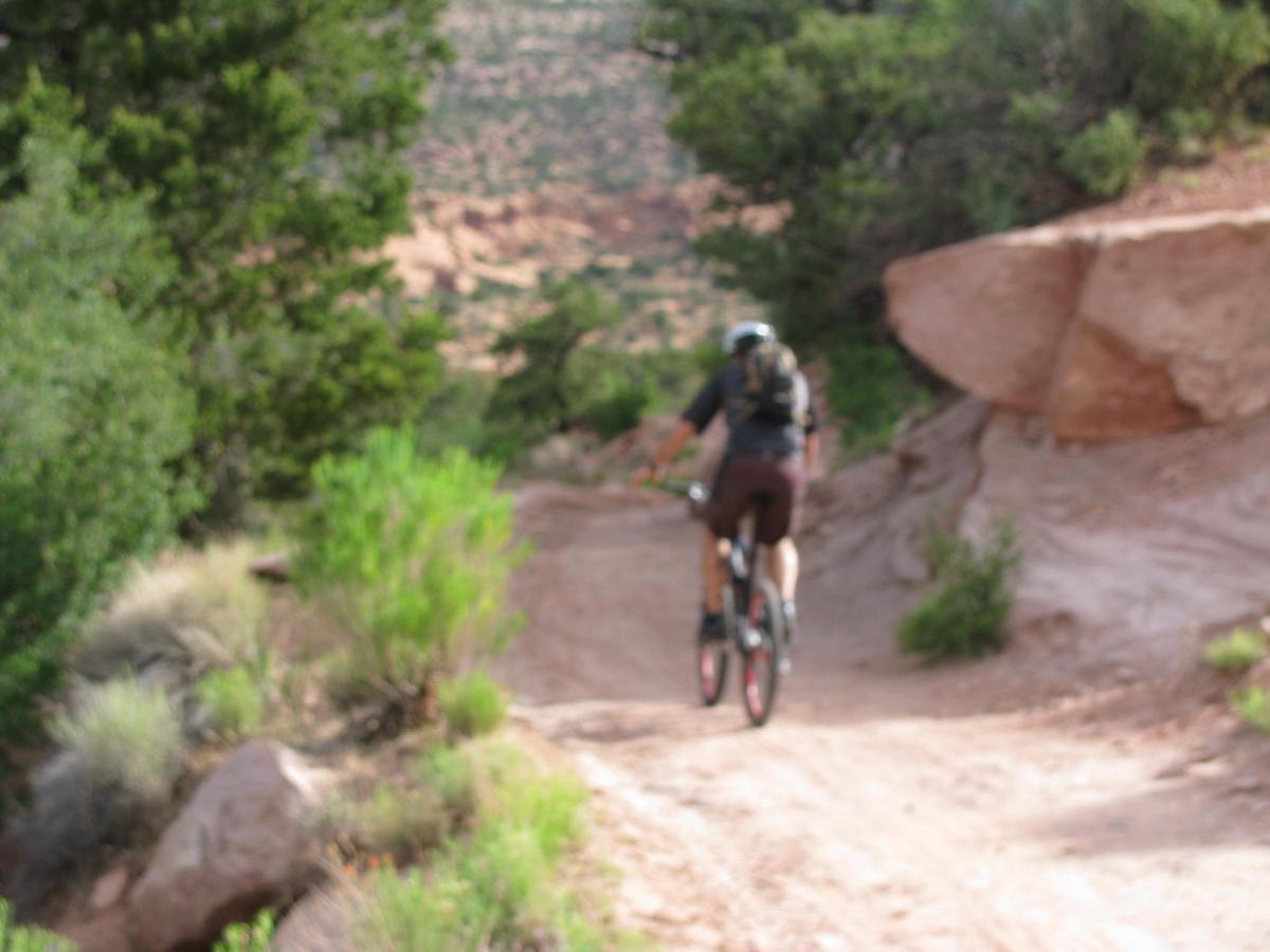 A person riding a mountain bike along a dirt trail surrounded by greenery and rocky terrain. Porcupine Rim mountain bike trail.