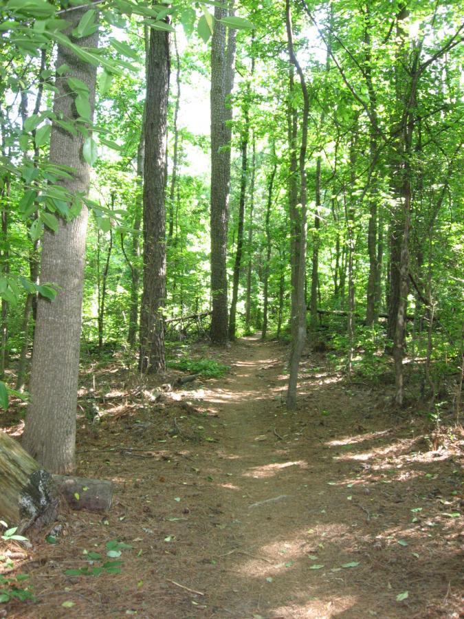 A narrow dirt path winding through a lush green forest, surrounded by tall trees and dappled sunlight filtering through the leaves. Gainesville College mountain bike trail.
