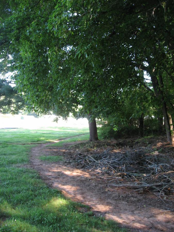 A dirt path winding through a grassy area, bordered by trees with lush green leaves. Piles of sticks and branches are gathered on one side of the path. The scene is serene and inviting, suggesting a quiet outdoor environment. Gainesville College mountain bike trail.