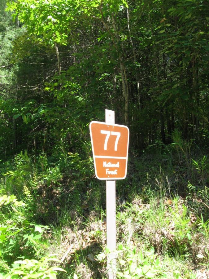 Brown sign with the number 77 and the text "National Forest," surrounded by greenery and trees. Jones Creek Ridge Trail mountain bike trail.