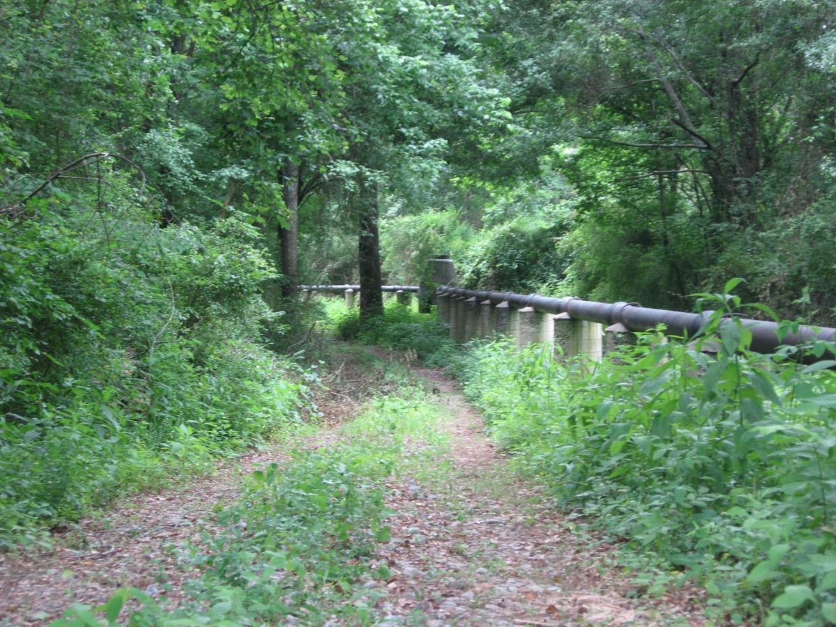 A narrow, overgrown dirt path surrounded by lush green foliage leads through a forested area. In the background, a long utility pipe is visible, supported by concrete pillars, blending into the natural surroundings. The scene conveys a tranquil and secluded outdoor environment. Mitchell Bridge Loop mountain bike trail.