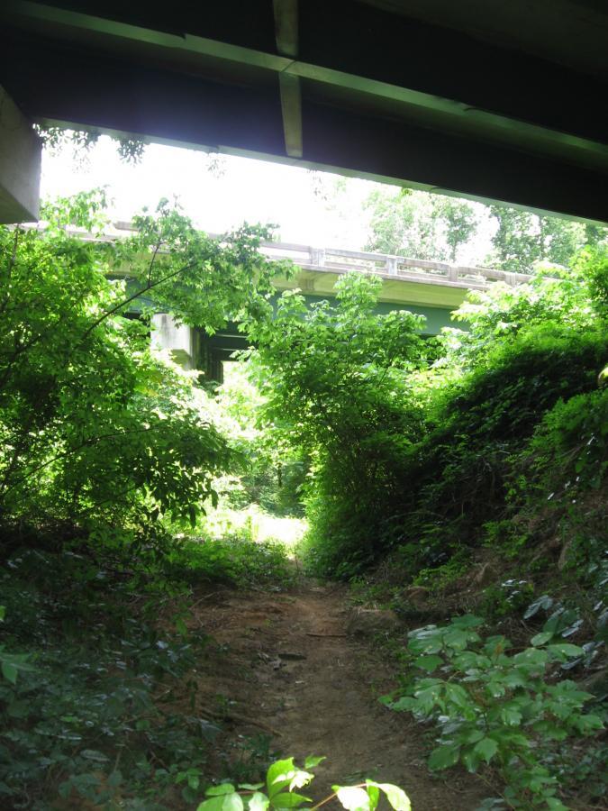 A view of a narrow path surrounded by lush greenery, leading towards the underside of a concrete overpass. Sunlight filters through the leaves, illuminating the area, while the structure of the overpass looms above. Mitchell Bridge Loop mountain bike trail.