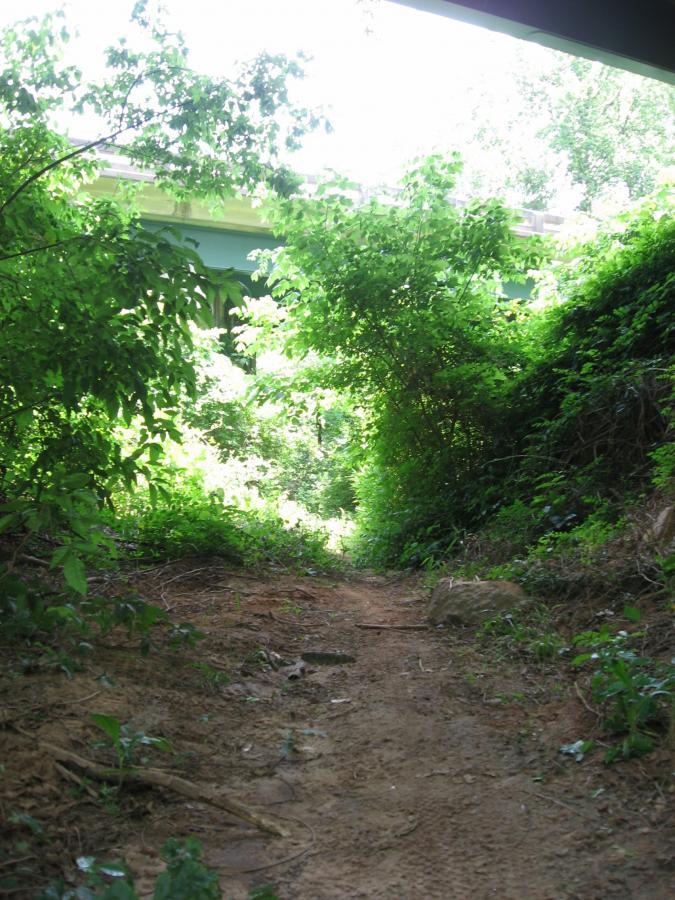 A narrow, overgrown pathway leading toward bright light, framed by lush green foliage and underbrush, with a glimpse of a bridge above in the background. Mitchell Bridge Loop mountain bike trail.