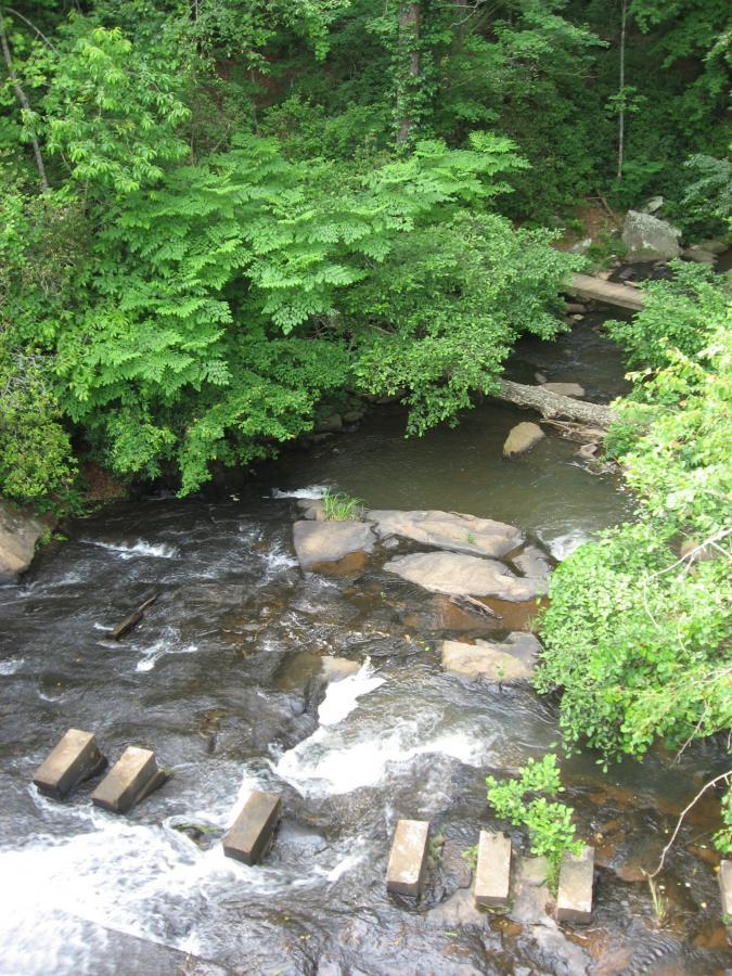 A serene river scene with smooth flowing water and moss-covered rocks, surrounded by lush green foliage and trees. Stone stepping stones are partially submerged in the water, creating a natural pathway across the river. The setting evokes a peaceful, natural atmosphere. Lake Russell Loop mountain bike trail.