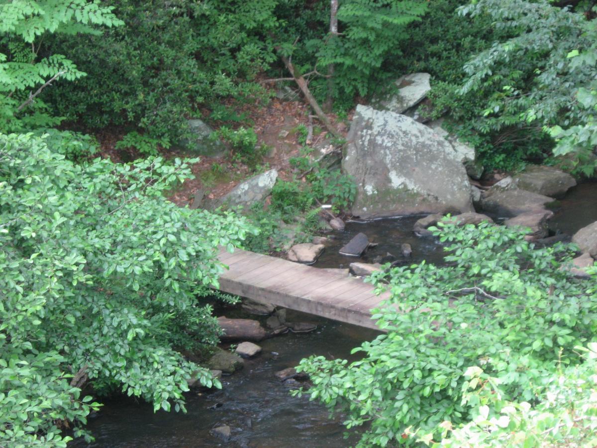A small wooden bridge spans a gently flowing creek, surrounded by lush green foliage and large stones. The scene is peaceful and natural, with vibrant leaves framing the bridge and water. Lake Russell Loop mountain bike trail.