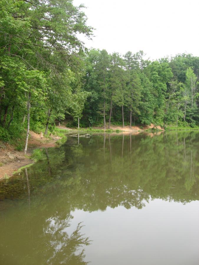 A serene lake surrounded by lush green trees, with reflections of the trees visible on the calm water surface. The scene captures the tranquility of nature, featuring a sandy shore and a small wooden structure partially visible in the background. Lake Russell Loop mountain bike trail.
