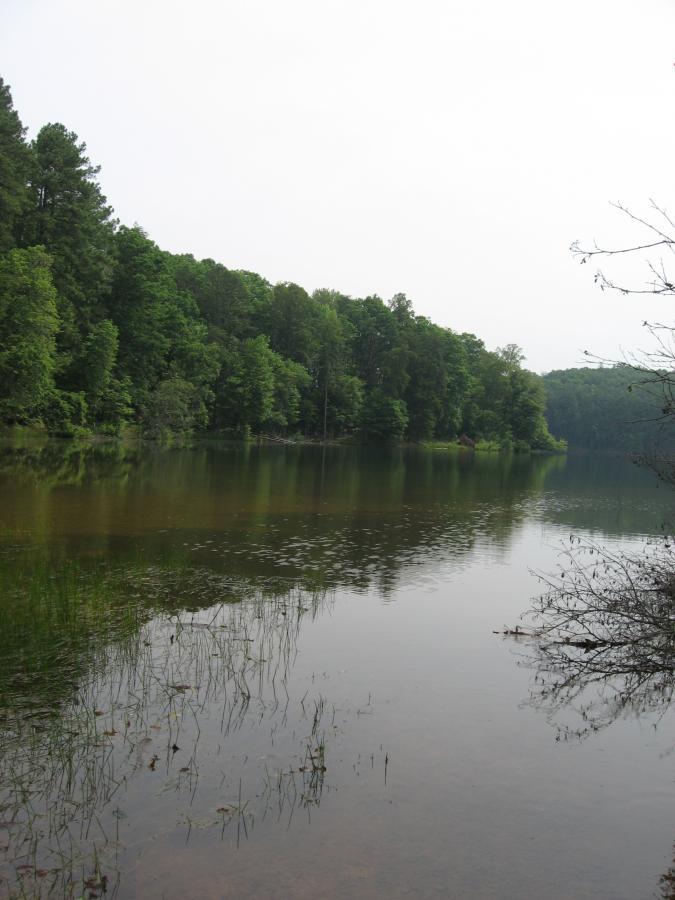 A serene lake surrounded by lush green trees, reflecting the foliage in calm water, under a hazy sky. Lake Russell Loop mountain bike trail.