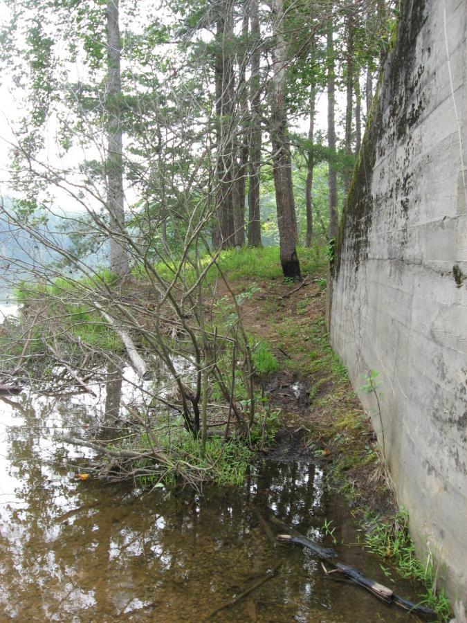 A tranquil scene of a natural area featuring a concrete wall beside a calm water body. Lush greenery and trees surround the area, with some branches extending over the water. The reflection of the trees is visible on the surface of the water, creating a serene atmosphere. Lake Russell Loop mountain bike trail.