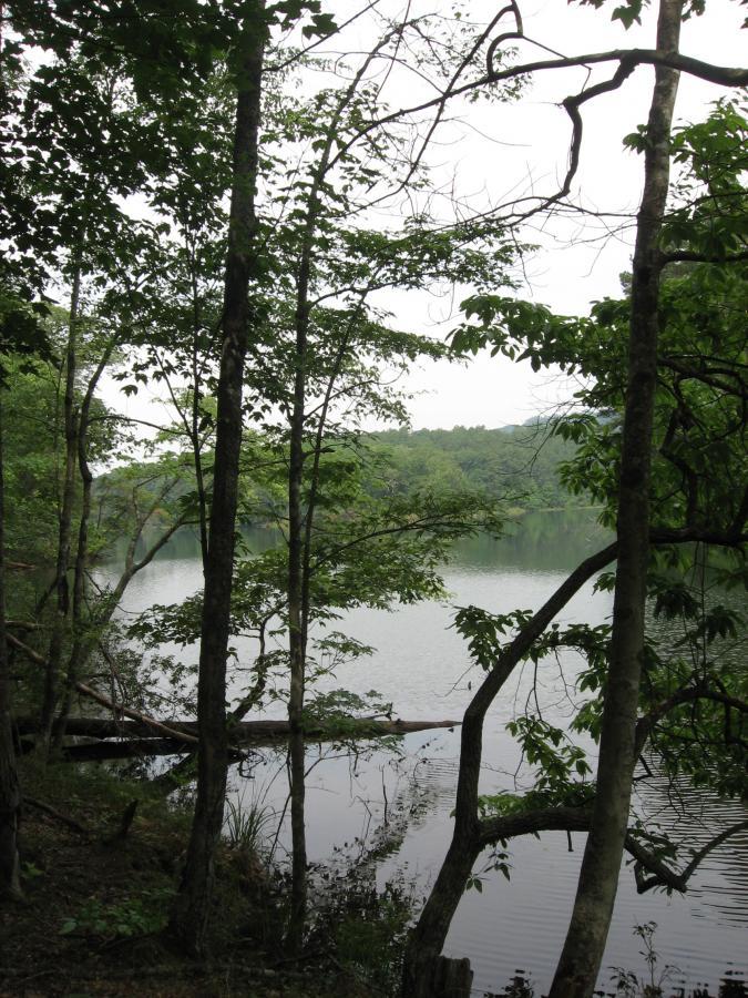 A tranquil view of a lake surrounded by lush greenery, with tree branches framing the scene. The water is calm, reflecting the overcast sky and the distant hills. Lake Russell Loop mountain bike trail.