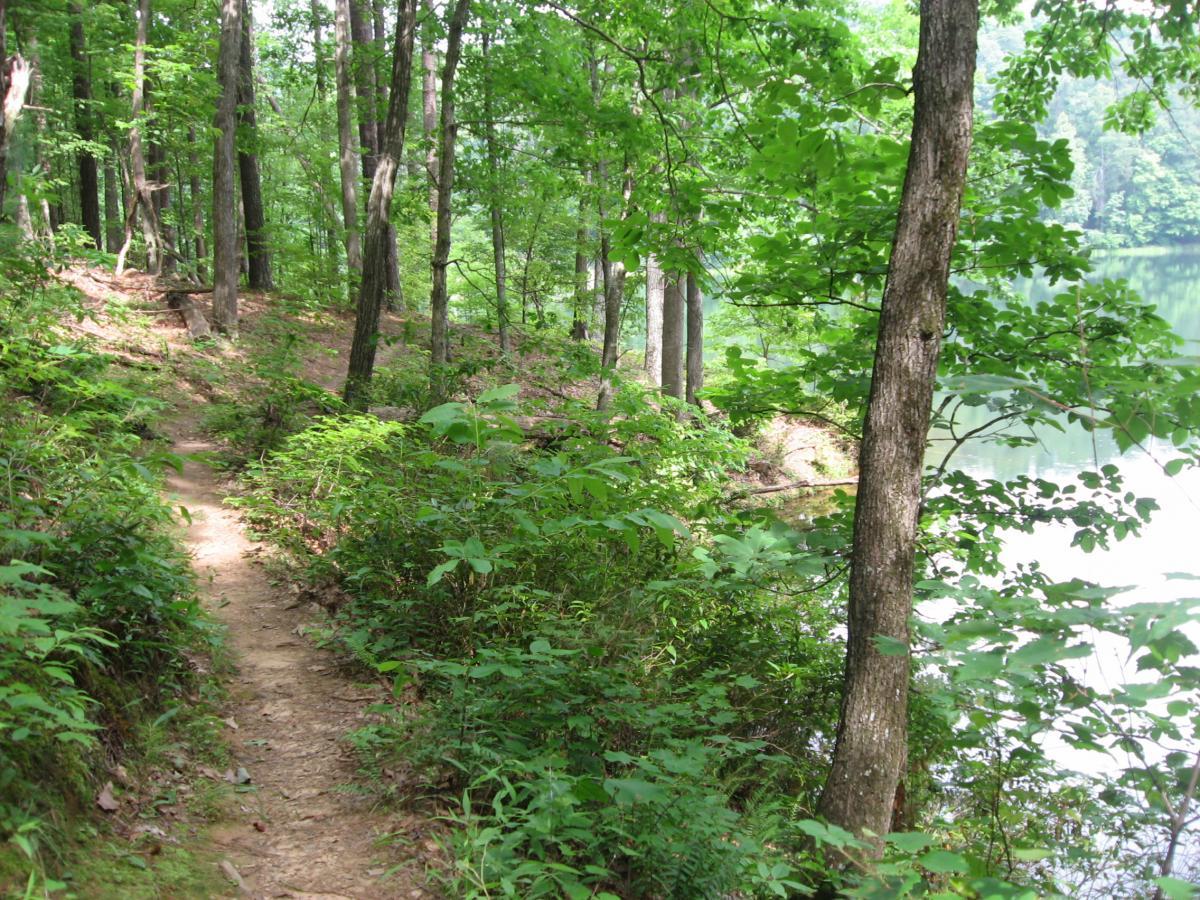 A narrow path winding through a lush green forest beside a calm lake. Tall trees with dense foliage frame the path, creating a serene and inviting atmosphere for hiking or exploring nature. Lake Russell Loop mountain bike trail.