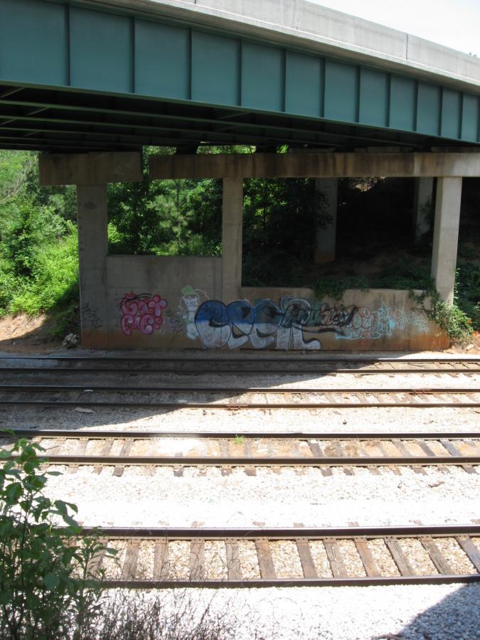 A view of railroad tracks running parallel to a concrete bridge. The bridge is supported by large pillars, some of which have graffiti art on them. Green foliage is visible around the area, indicating a natural setting. The scene is lit by sunlight, with shadows cast across the tracks. Chase Street mountain bike trail.