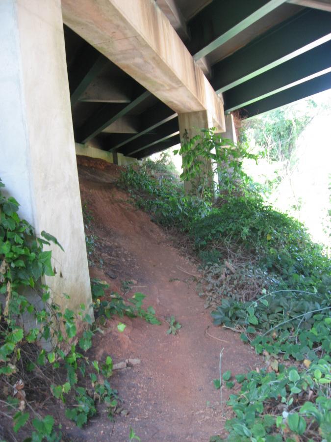 A dirt path winding through dense greenery underneath a concrete overpass, with visible support pillars and shadows cast by the structure above. Chase Street mountain bike trail.