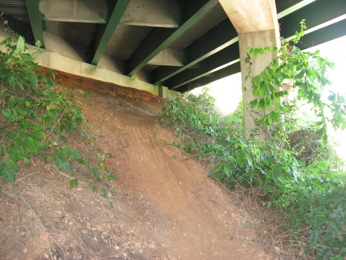 Image of a dirt slope covered with vegetation, located under a highway bridge. The underside of the bridge features exposed concrete and green metal supports, with sunlight filtering through the greenery surrounding the area. Chase Street mountain bike trail.