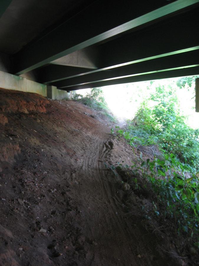 A view from underneath a bridge, showing dirt and vegetation sloping upward towards natural light at the far end. The underside of the bridge features large, dark green beams, while the area below is a mix of bare soil and patches of greenery. Chase Street mountain bike trail.