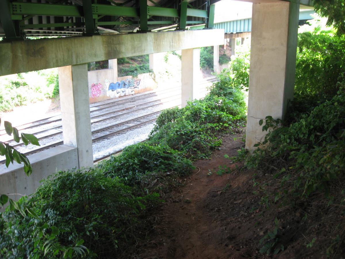 A view from under a bridge, showcasing concrete pillars supporting the structure. In the background, there are railway tracks lined with stones. The area is overgrown with greenery, including bushes and plants, and one wall features colorful graffiti. The scene is well-lit, suggesting it is daytime. Chase Street mountain bike trail.