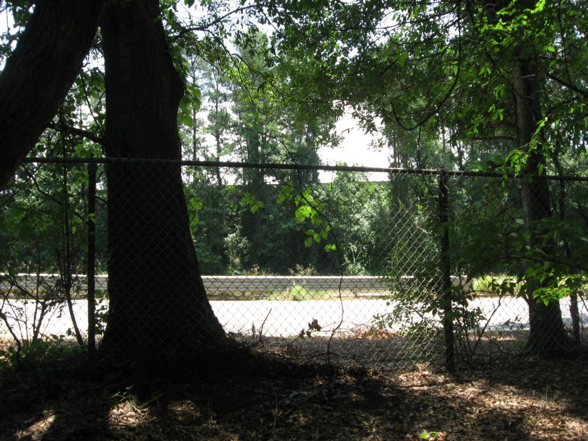 A view of a wooded area with a large tree in the foreground, partially obscured by leaves. A chain-link fence separates the trees from a paved road that is visible in the background, with sunlight filtering through the foliage. The scene conveys a sense of nature juxtaposed against human-made structures. Slither mountain bike trail.