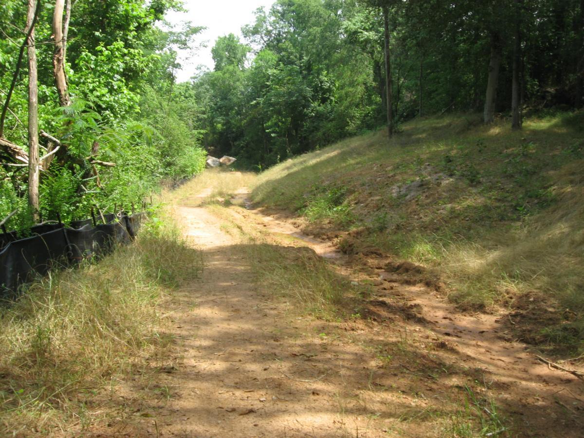 A dirt path winding through a lush green area, flanked by trees and shrubs. The path is slightly overgrown with grass, and there are protective barriers along one side. Sunlight filters through the foliage, creating a serene, natural atmosphere. Oconee River Greenway mountain bike trail.