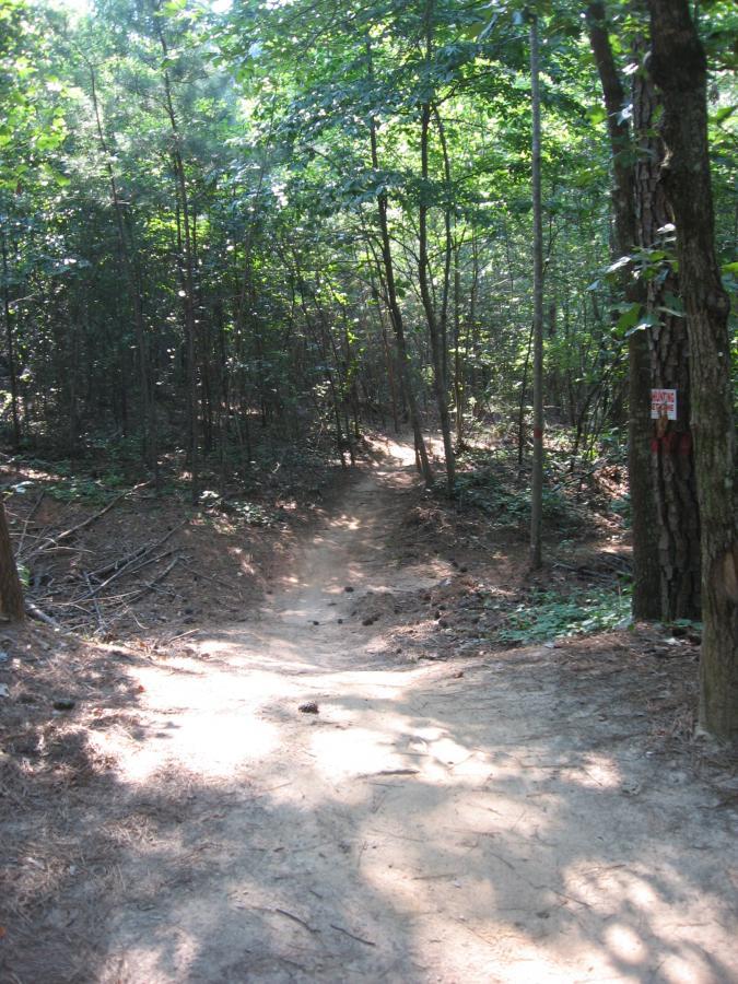 A winding dirt path through a dense forest, surrounded by tall trees and dappled sunlight filtering through the leaves. The trail is slightly uneven with patches of dirt and pine needles, inviting exploration into the natural landscape. Fort Yargo State Park mountain bike trail.