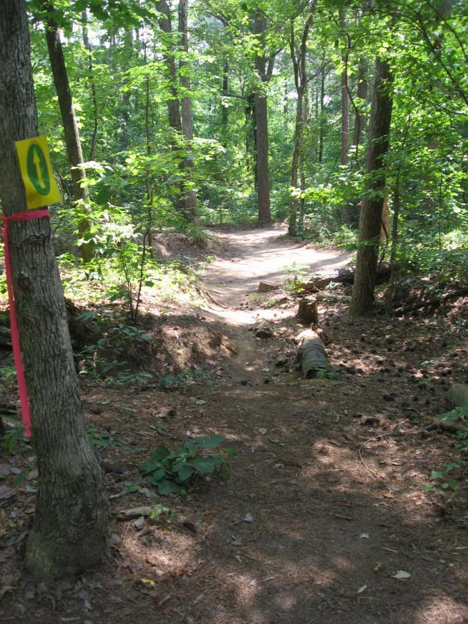 A winding dirt trail surrounded by dense green trees and underbrush, featuring a sign indicating the direction of the path. Sunlight filters through the tree leaves, illuminating the trail that leads deeper into the woods. Tribble Mill Park mountain bike trail.